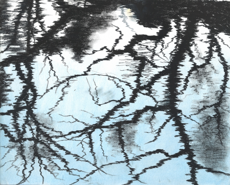 水：新宿御苑 2002.1.14